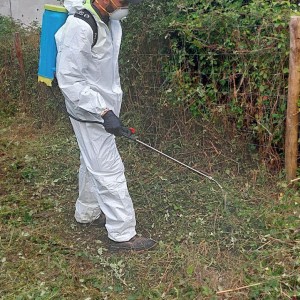 aplicação localizada de herbicida